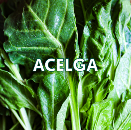 ACELGA