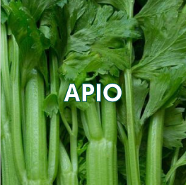 APIO2