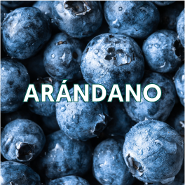 ARÁNDANO