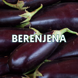 BERENJENA