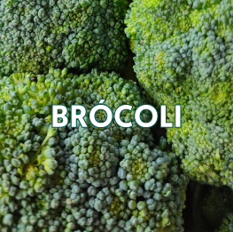 BRÓCOLI2