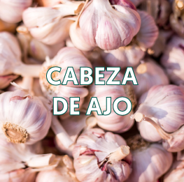 CABEZA-DE-AJO2