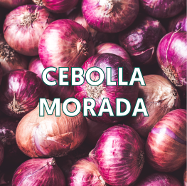 CEBOLLA-MORADA2