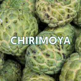 CHIRIMOYA