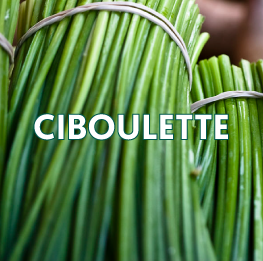 CIBOULETTE2