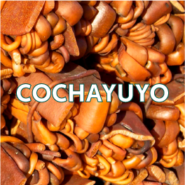 COCHAYUYO