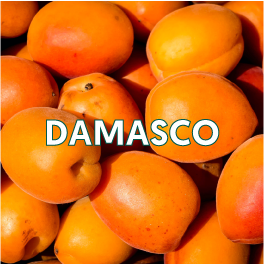 DAMASCO