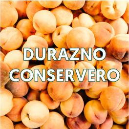 DURAZNO-CONSERVERO