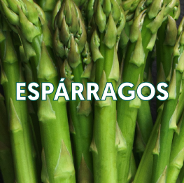 ESPÁRRAGOS