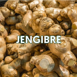 JENGIBRE