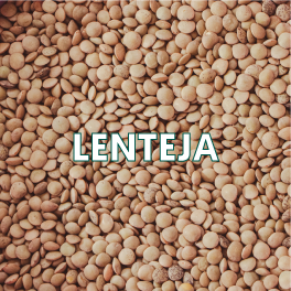 LENTEJA