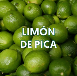 LIMON-DE-PICA2