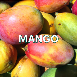 MANGO2