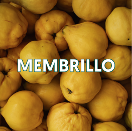 MEMBRILLO2