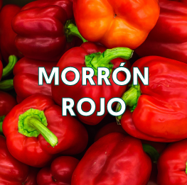 MORRÓN-ROJO2