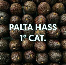 PALTA-HASS2