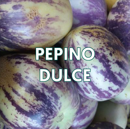 PEPINO-DULCE2