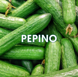 pepino