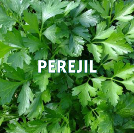 PEREJIL2