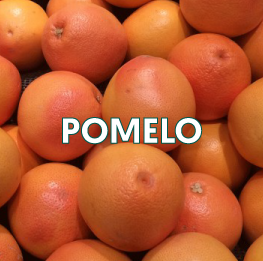 POMELO2