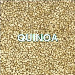 QUINOA