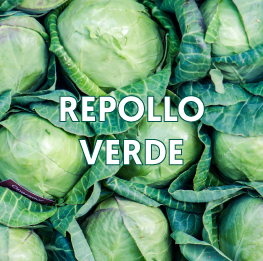 REPOLLO