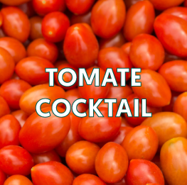 TOMATE-COCKTAIL