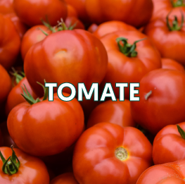 TOMATE2