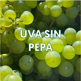 UVA-SIN-PEPA