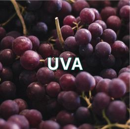 UVA2