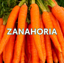 ZANAHORIA2