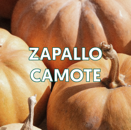 ZAPALLO-CAMOTE2