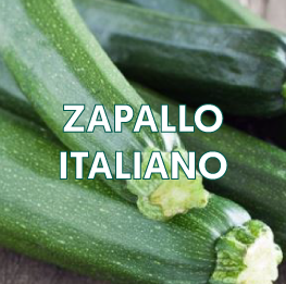 ZAPALLO-ITALIANO2